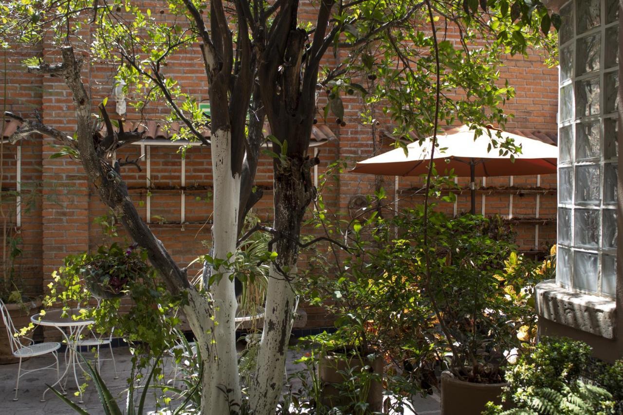 Mansion Mijashe Wellness & Travel House Hotel Morelia Esterno foto