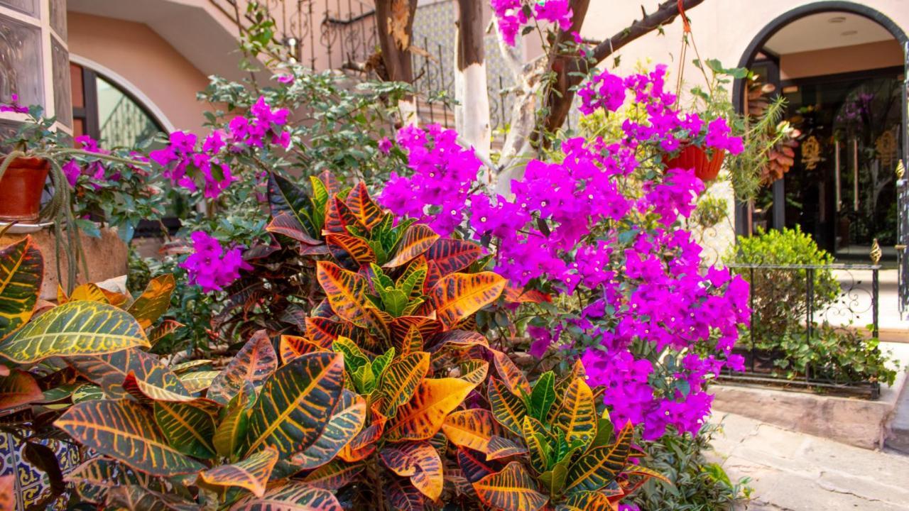 Mansion Mijashe Wellness & Travel House Hotel Morelia Esterno foto