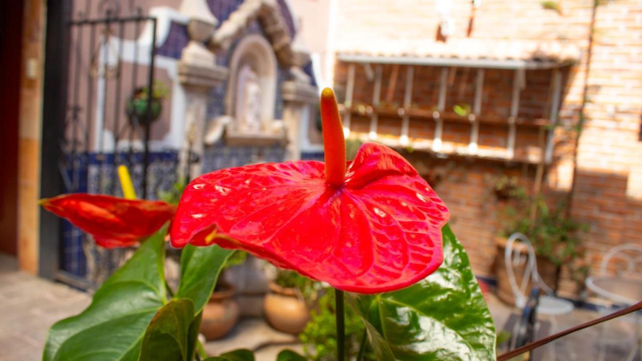 Mansion Mijashe Wellness & Travel House Hotel Morelia Esterno foto